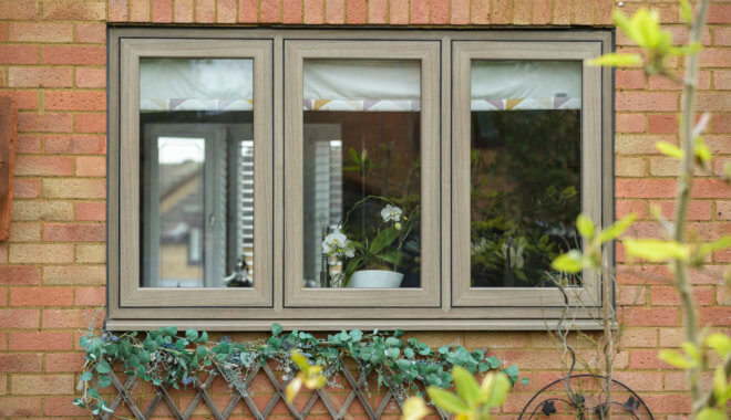 light brown flush sash windows with vegetation growing below